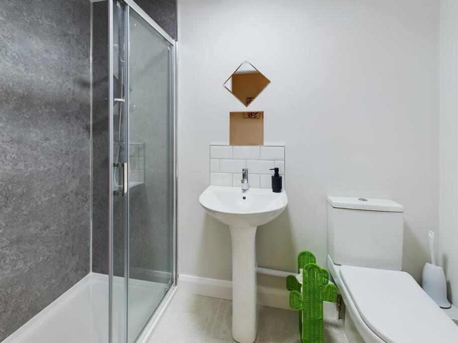 Contemporary 2-Bedroom Apartment 贝尔法斯特 外观 照片